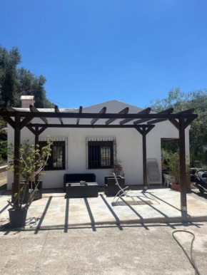 Farmhouse surrounded by centenary olive trees